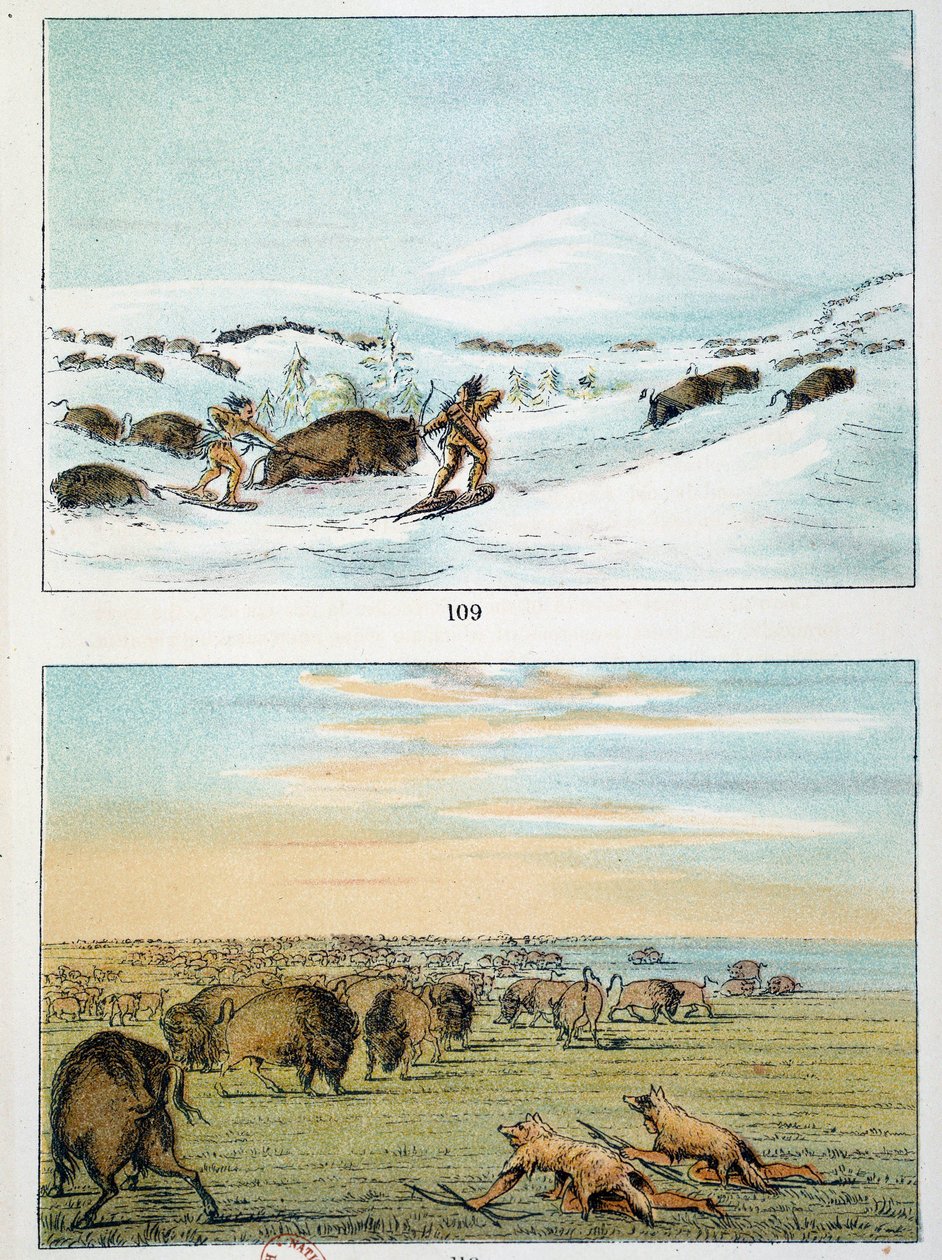Amerikan intiaanit. Biisonin metsästys: Intiaanit käyttävät lumikenkiä metsästääkseen talvella ja peittyvät suden nahalla kesällä. Kuvitus George Catlin (1794-1872) tekijältä George Catlin