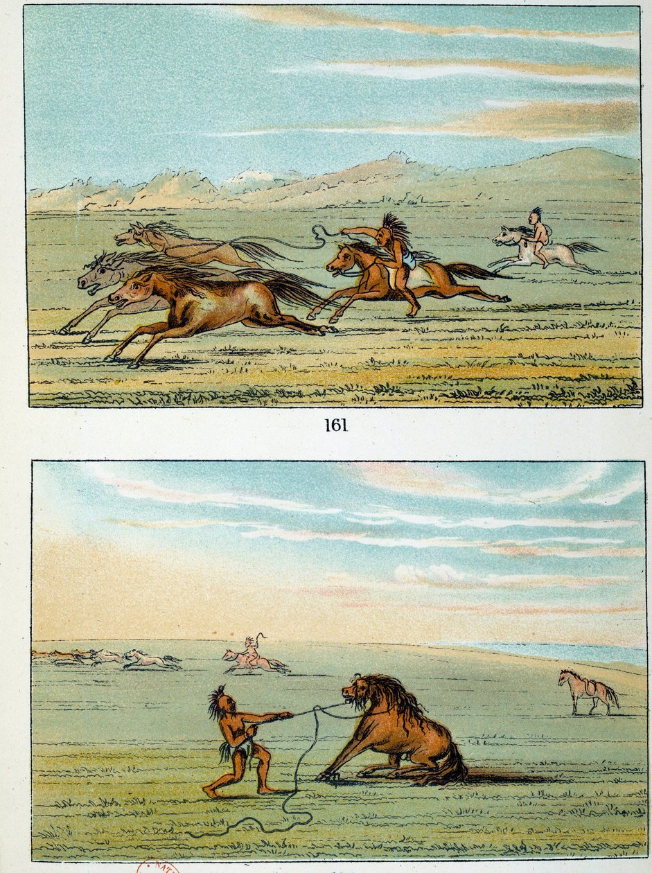 Amerikan intiaanit: kuinka saada villihevosia. Kuvitus George Catlin (1794-1872) tekijältä George Catlin