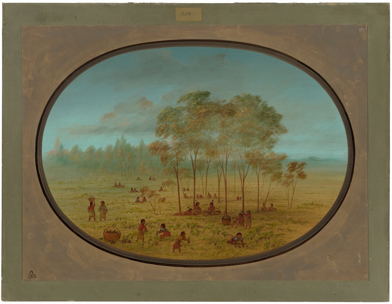 Kiowa-intiaanit keräävät villirypäleitä tekijältä George Catlin