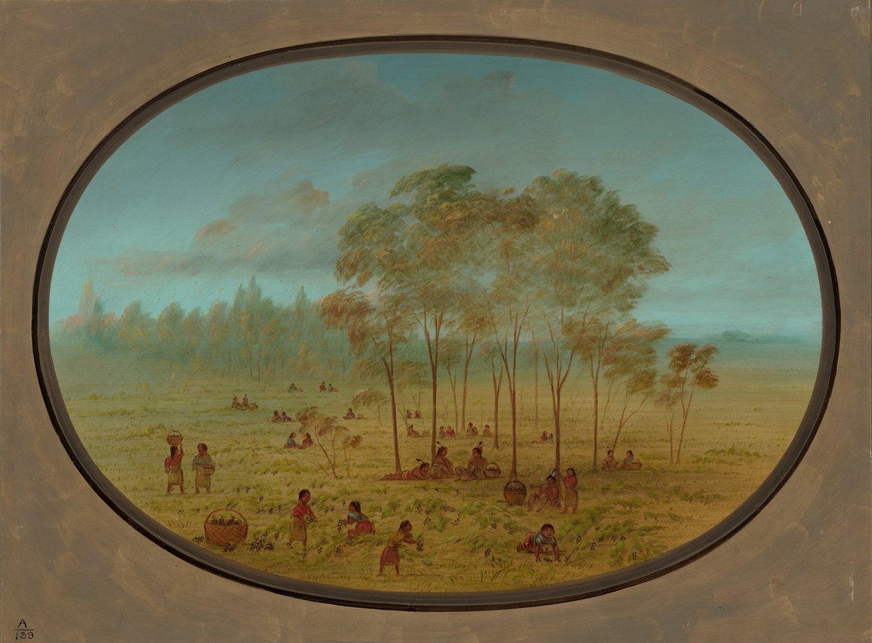 Kiowan intiaanit keräävät villirypäleitä, 18611869. tekijältä George Catlin