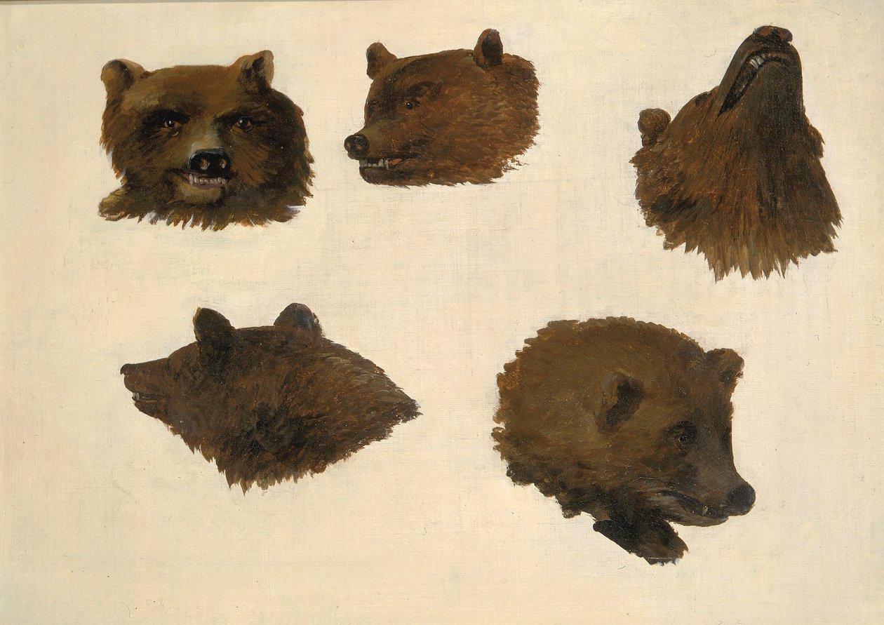 Muotokuvia kahdesta harmaakarhusta, elämästä käsin tekijältä George Catlin