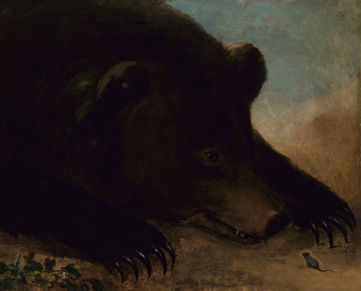 Muotokuvia harmaakarhusta ja hiirestä, elävän kokoinen tekijältä George Catlin