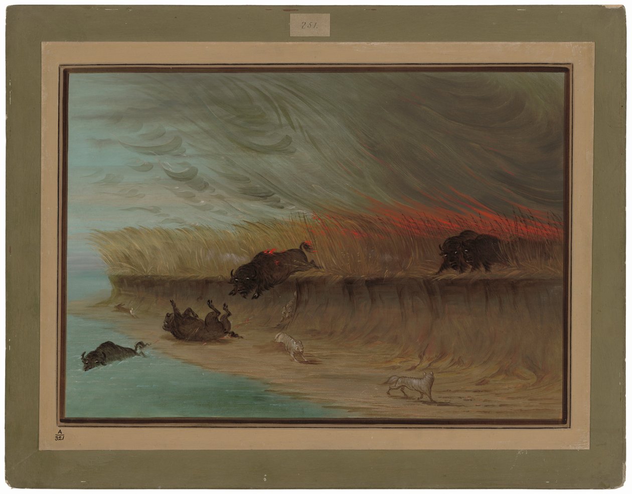 Prairie Meadows Burning tekijältä George Catlin