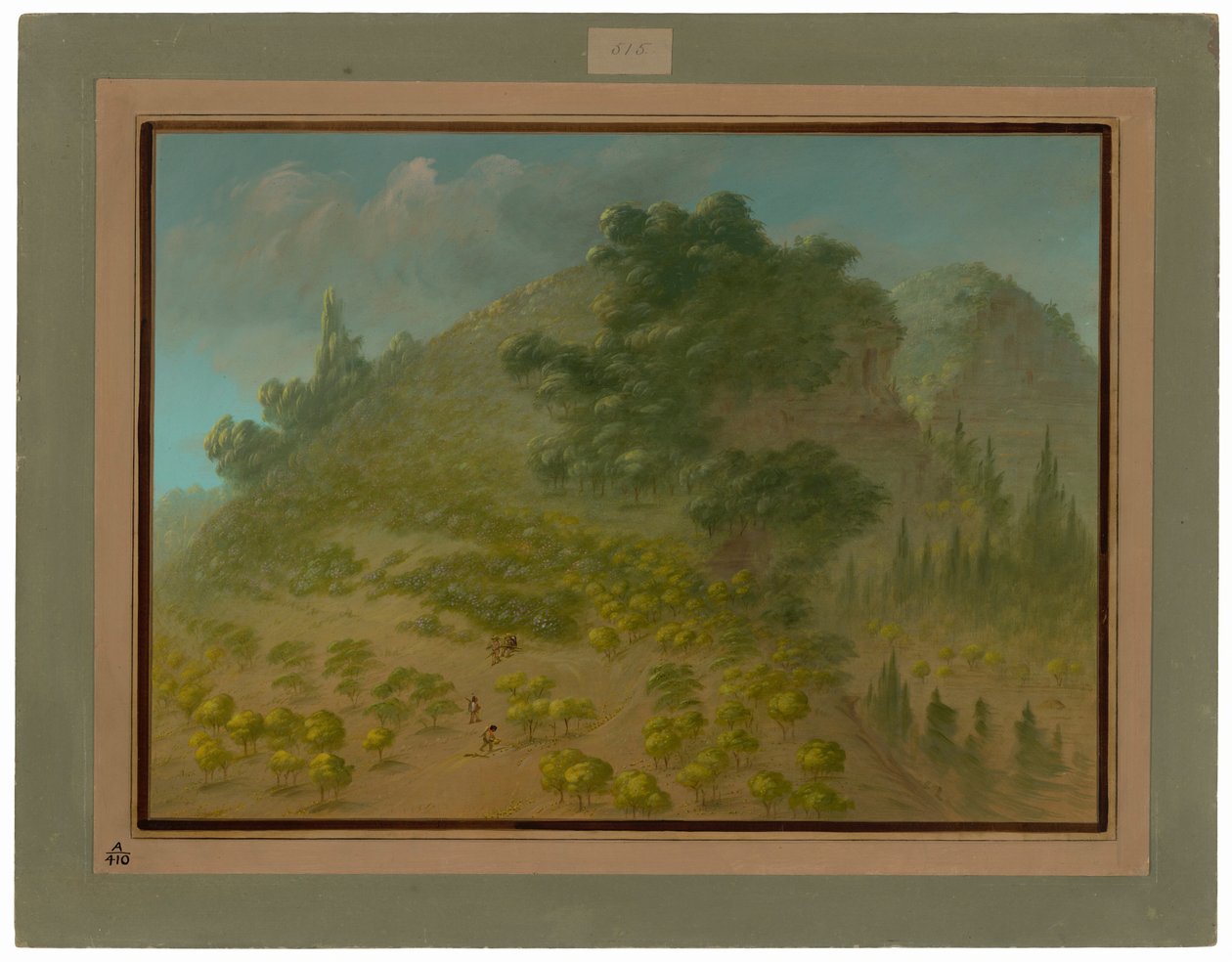 Rhododendron vuori tekijältä George Catlin