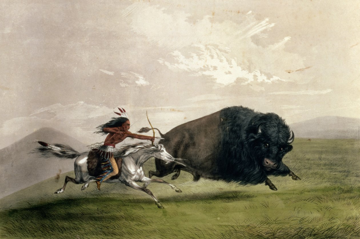 The Buffalo Chase "Singling Out", pubi. kirjoittaneet Currier ja Ives tekijältä George Catlin