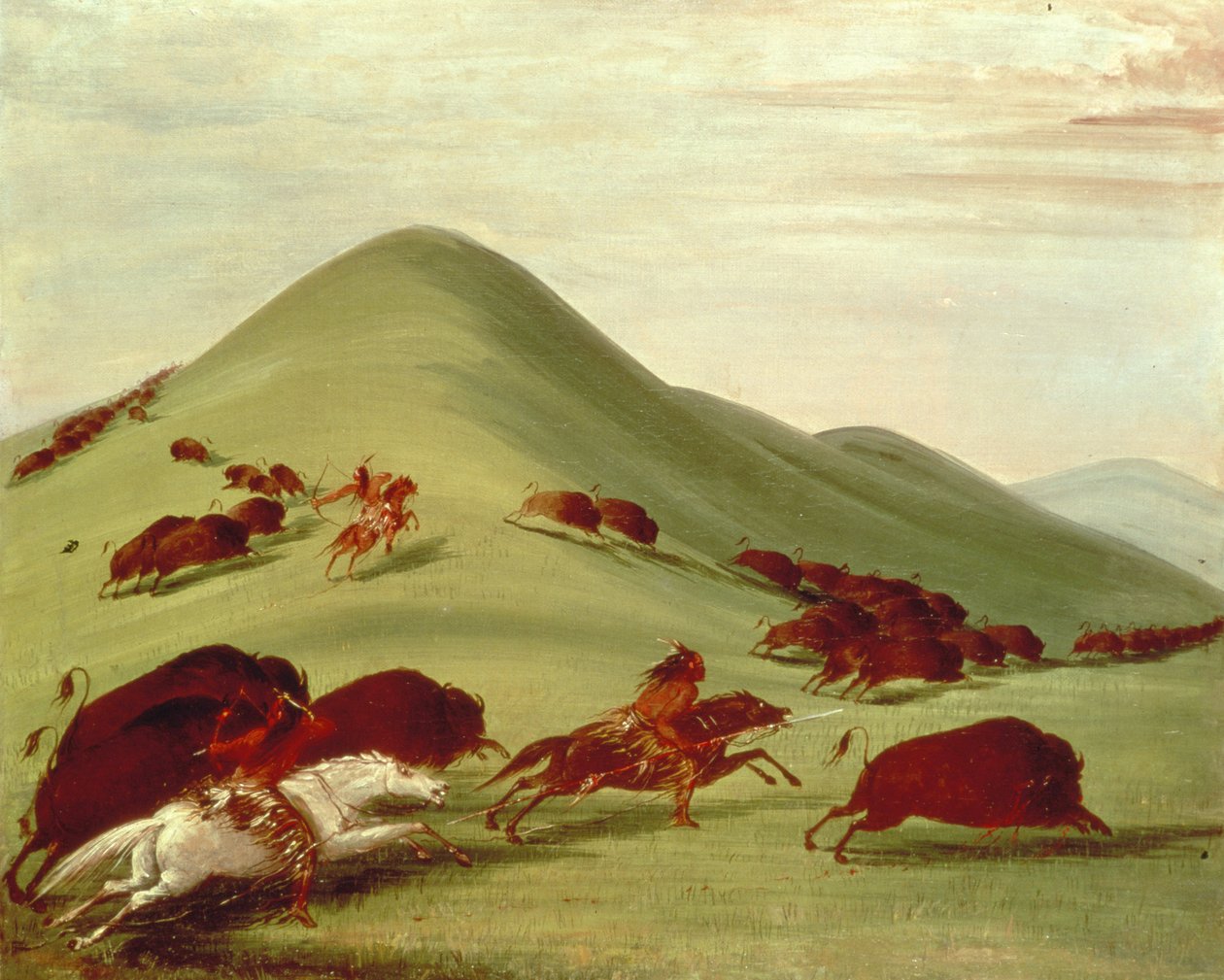 Buffalo Hunt tekijältä George Catlin