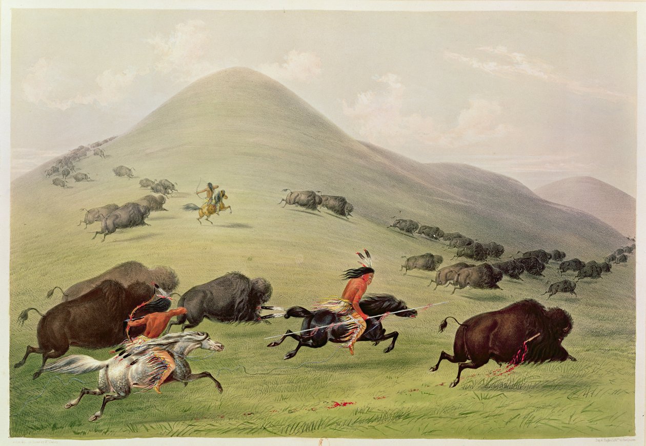 Buffalo Hunt, noin 1832 tekijältä George Catlin