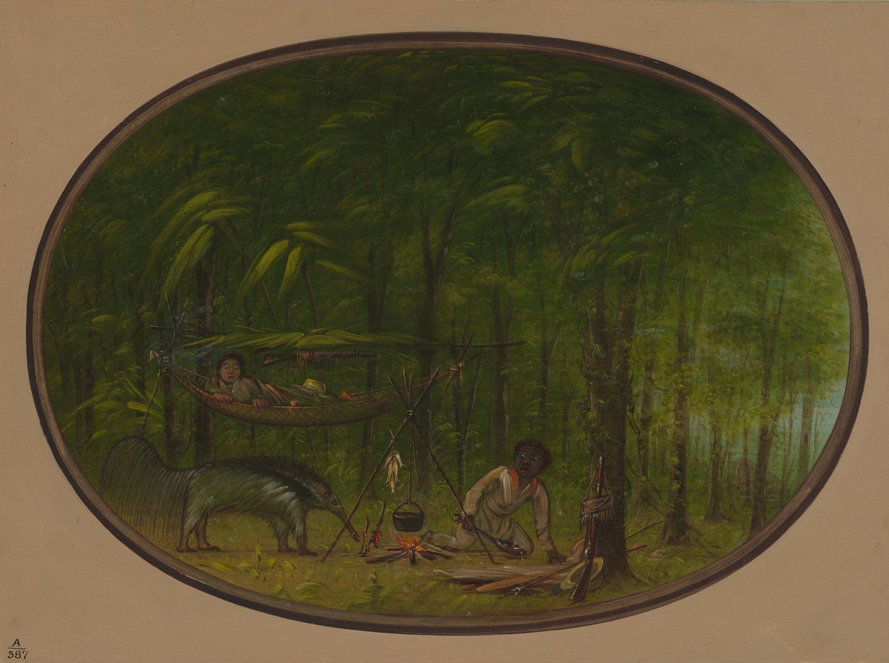 Suuri muurahaissyöjä, 18541869. tekijältä George Catlin