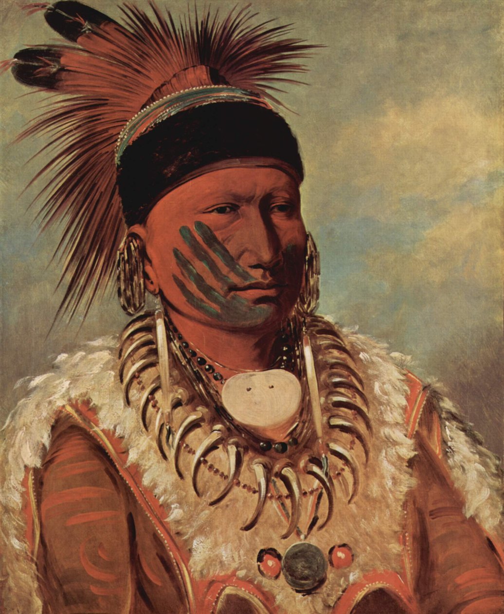 Valkoinen Pilvi, Iowojen pääpäällikkö tekijältä George Catlin