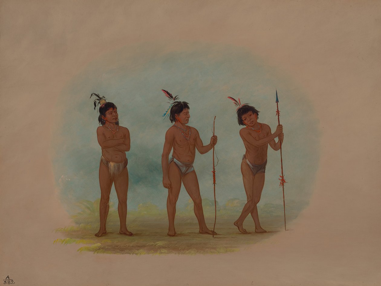 Kolme Auca-lasta, 18541869. tekijältä George Catlin
