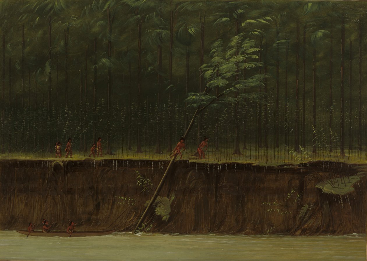 Näkymä Ala-Mississippille, 18611869. tekijältä George Catlin