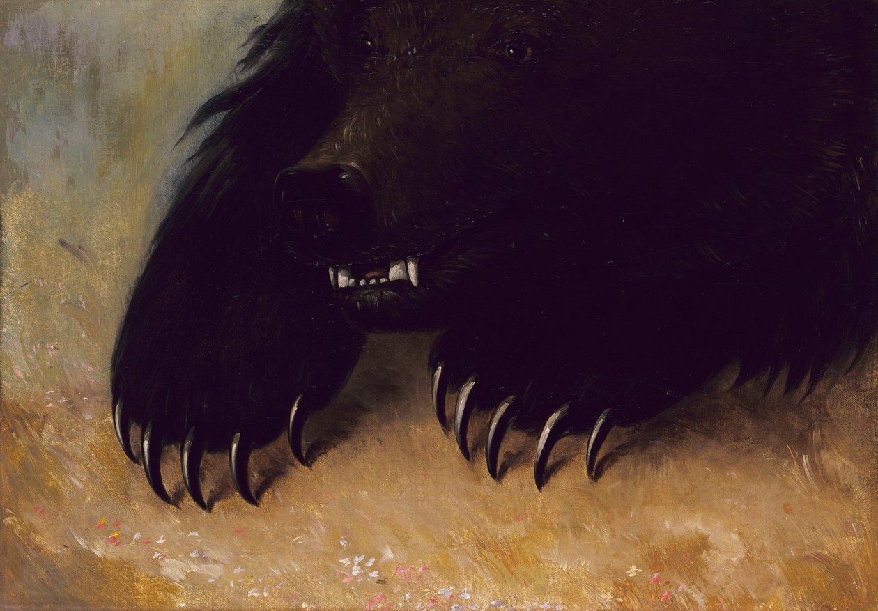 Harmaakarhun aseet ja ruumiinrakenne tekijältä George Catlin