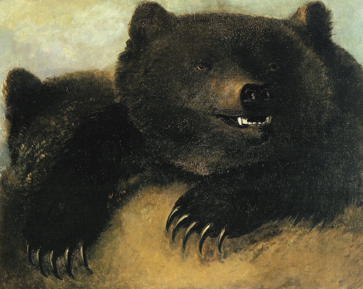 Harmaakarhun aseet ja ruumiinrakenne tekijältä George Catlin