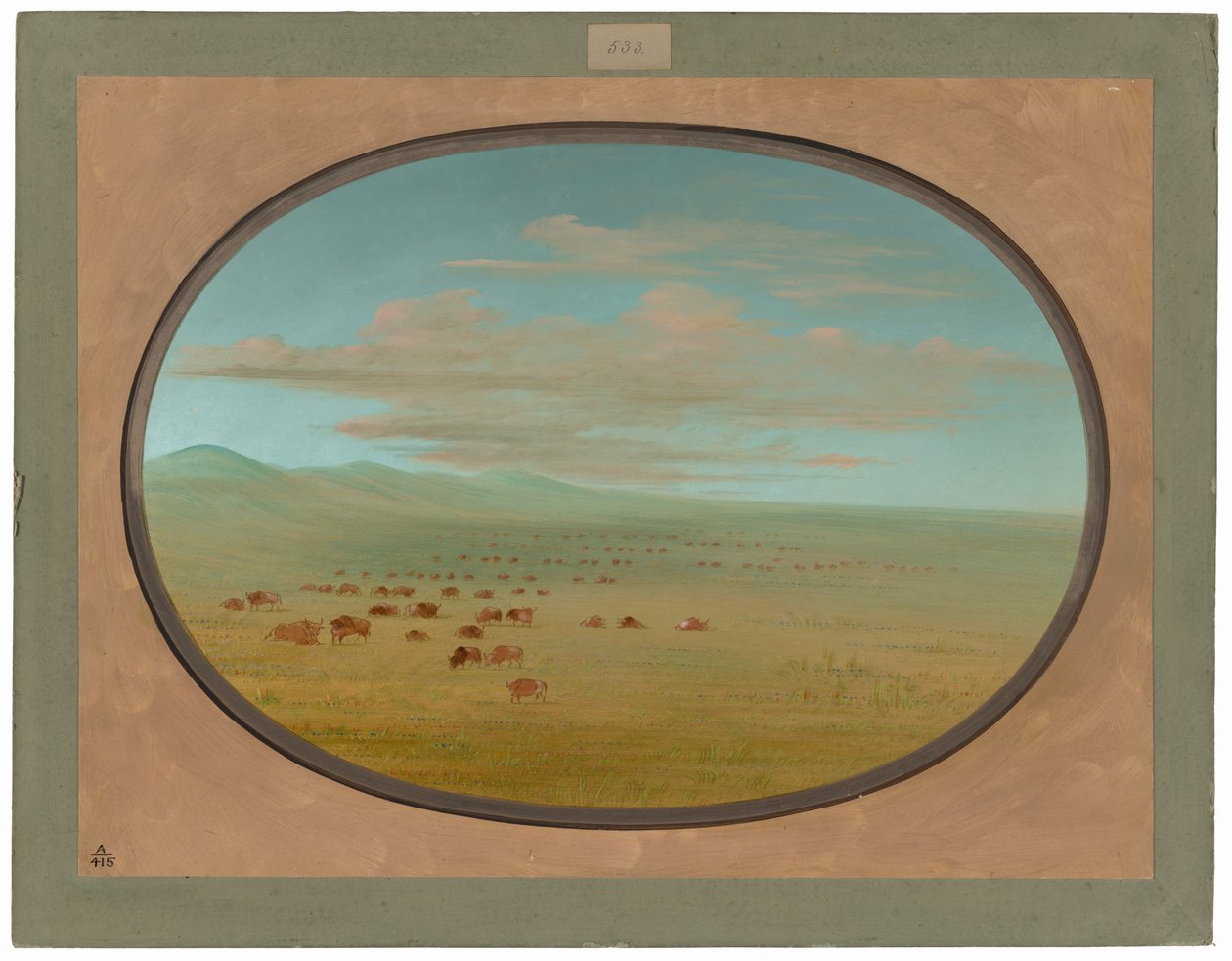 Villikarja laiduntamassa Pampa del Sacramentossa tekijältä George Catlin