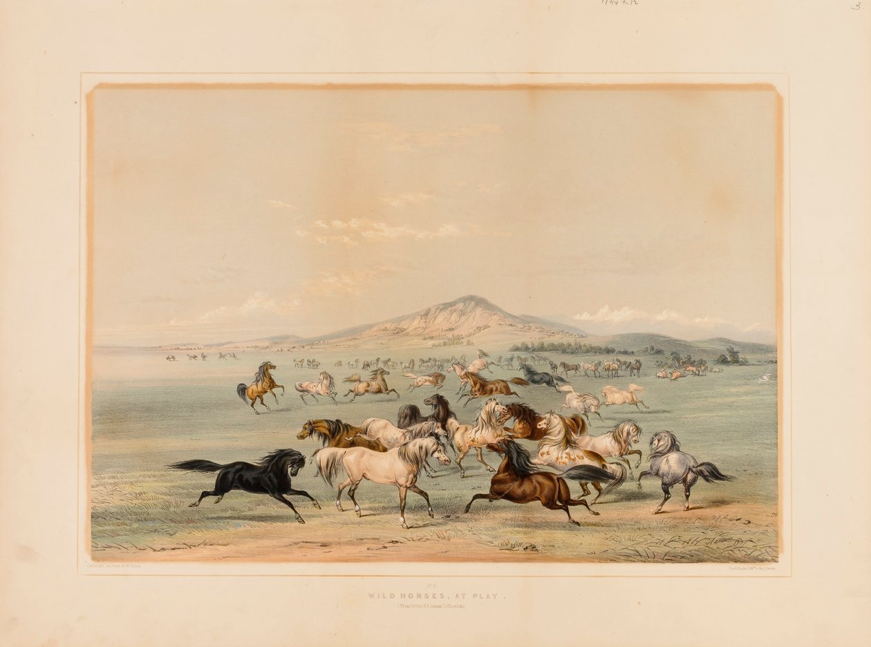 Villihevoset leikkimässä - ei. 3 tekijältä George Catlin