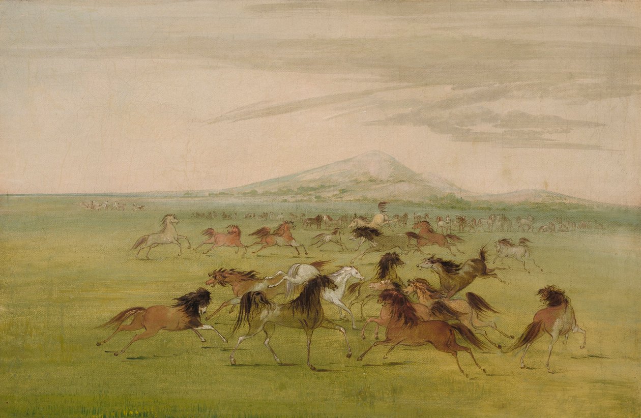 Villihevoset leikkimässä tekijältä George Catlin