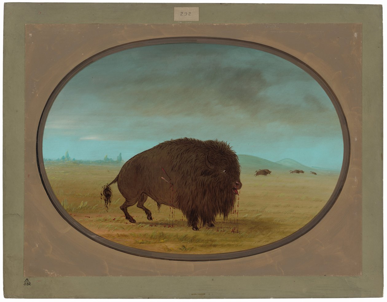 Haavoittunut Buffalo Bull tekijältä George Catlin