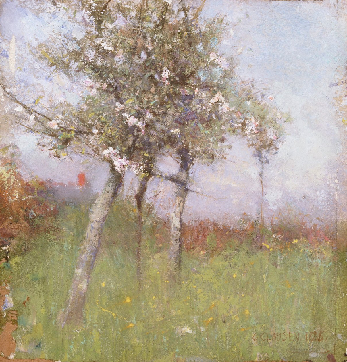 Omenankukka, 1885. tekijältä George Clausen
