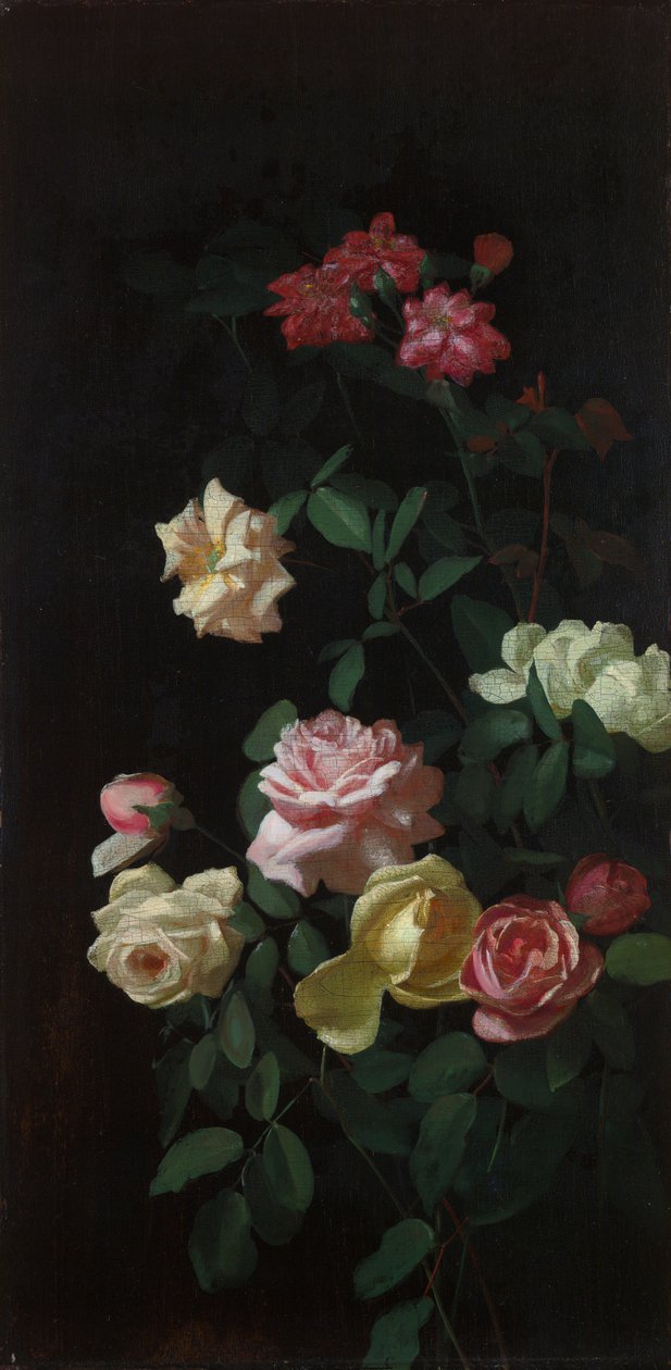 Ruusut tekijältä George Cochran Lambdin