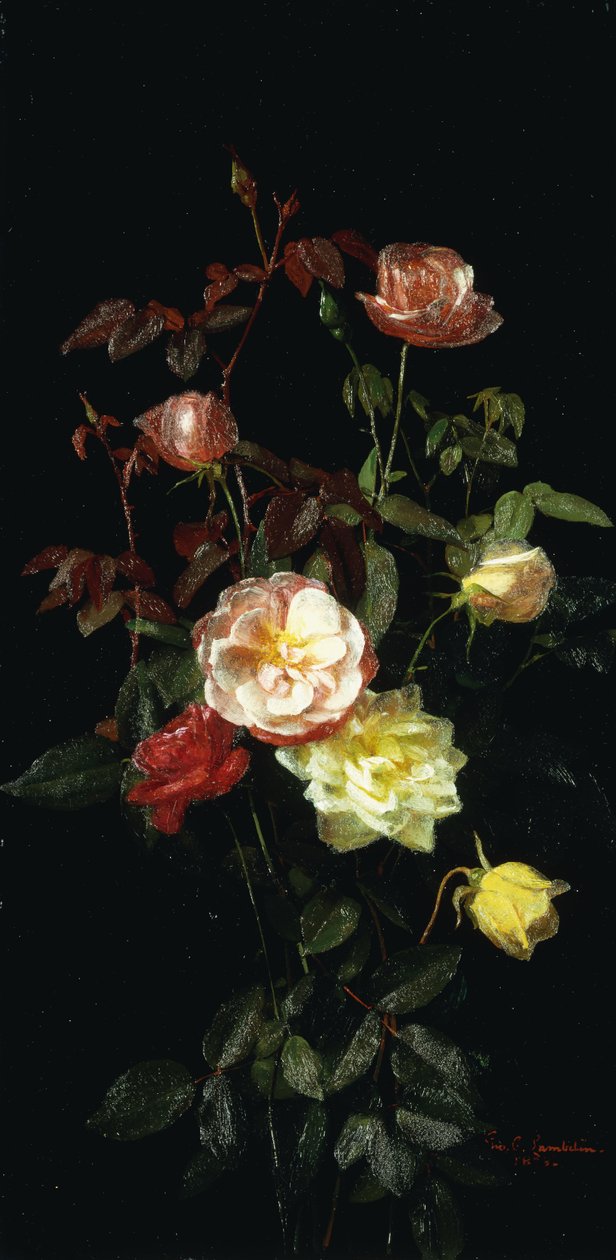 Ruusut, 1878 tekijältä George Cochran Lambdin