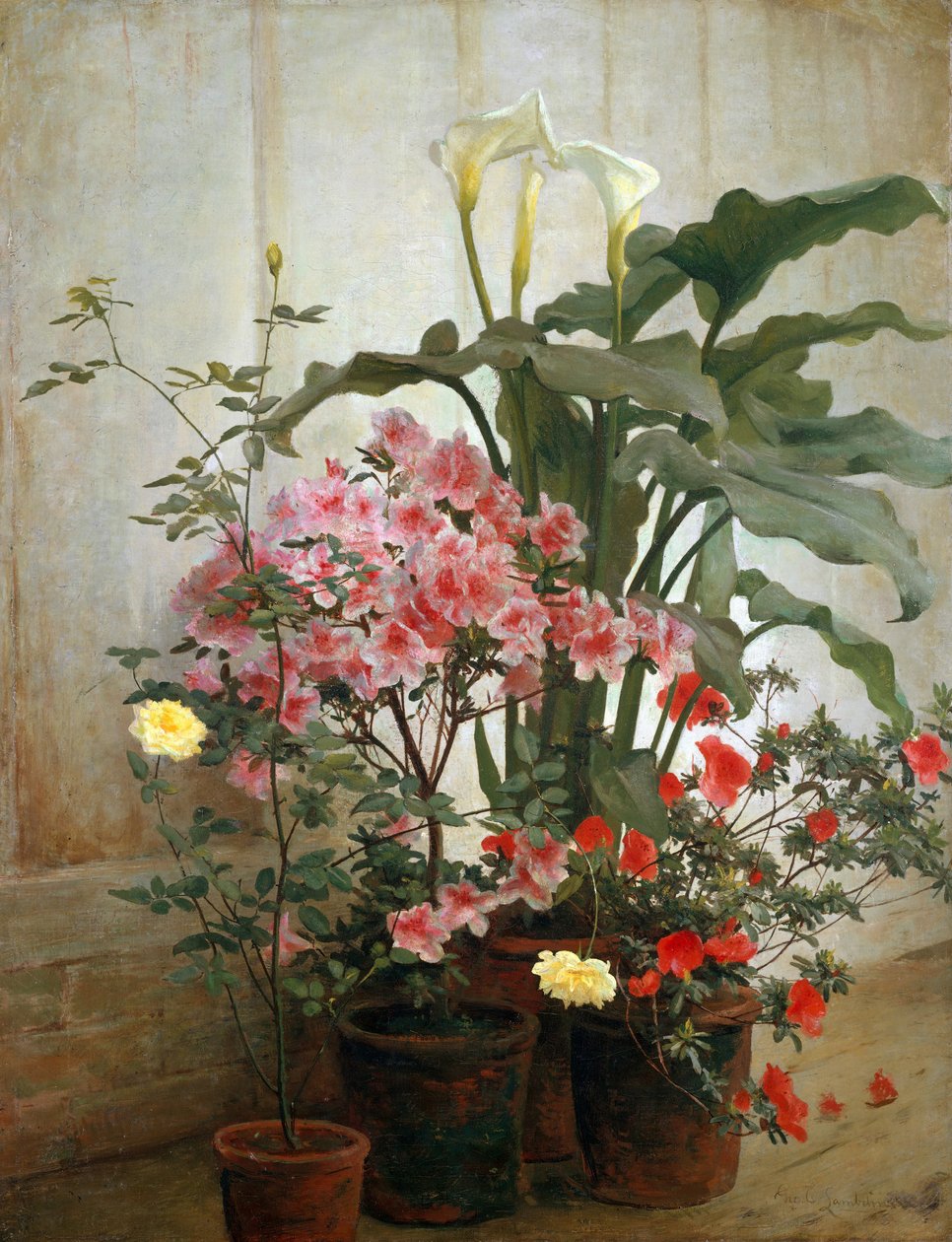 Kasvihuoneen puoli, 1870-80. tekijältä George Cochran Lambdin