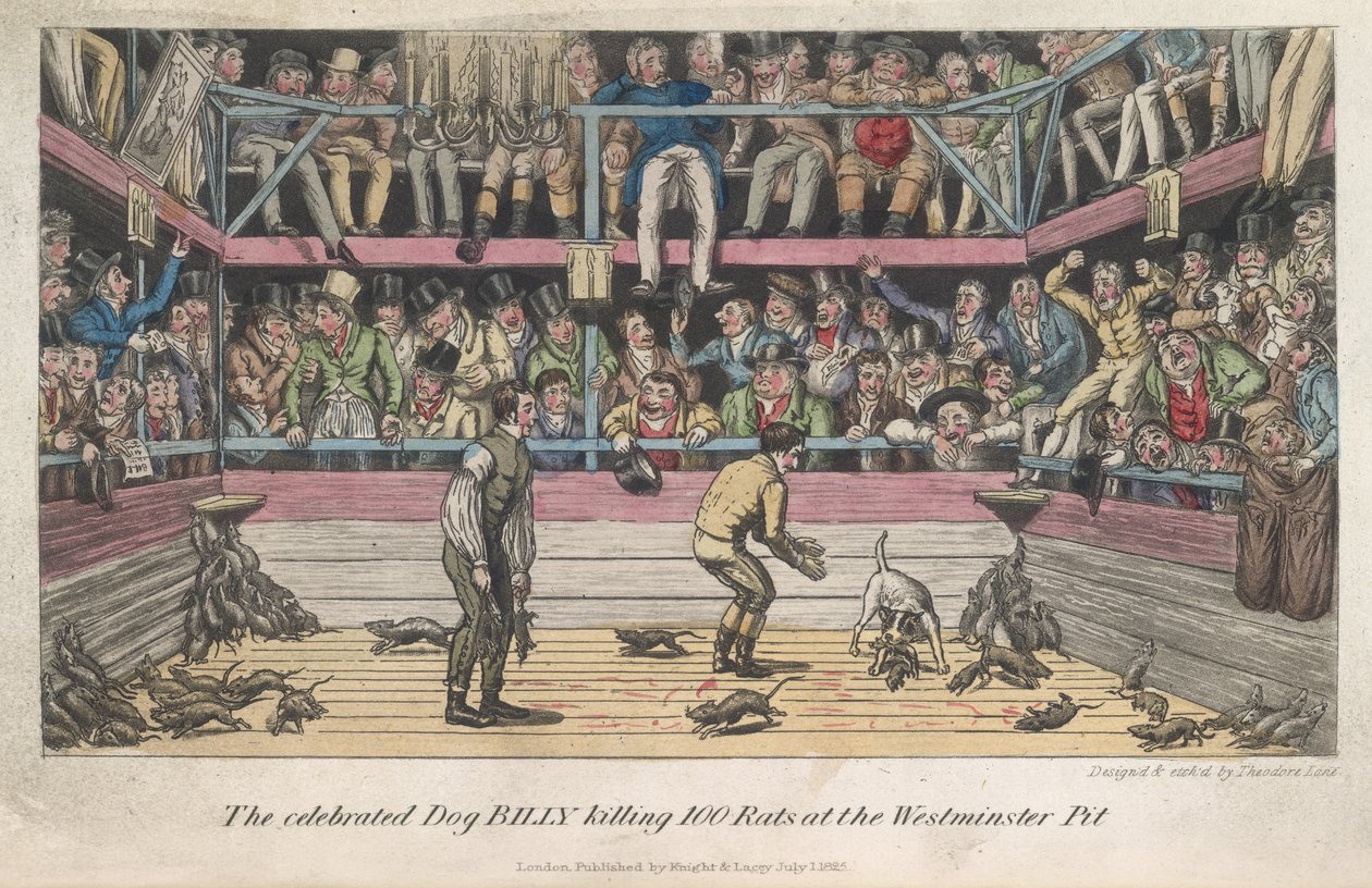 Rottien tappaminen, "Elämä Lontoossa jne.", Pierce Egan tekijältä George Cruikshank