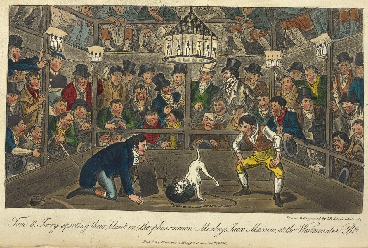 "Tom ja Jerry urheilevat suorastaan ilmiötä Monkey,Jacco,Maccaco, Westminsterin kaivossa". Koirataistelu, "Life in London, etc.", Pierce Egan tekijältä George Cruikshank