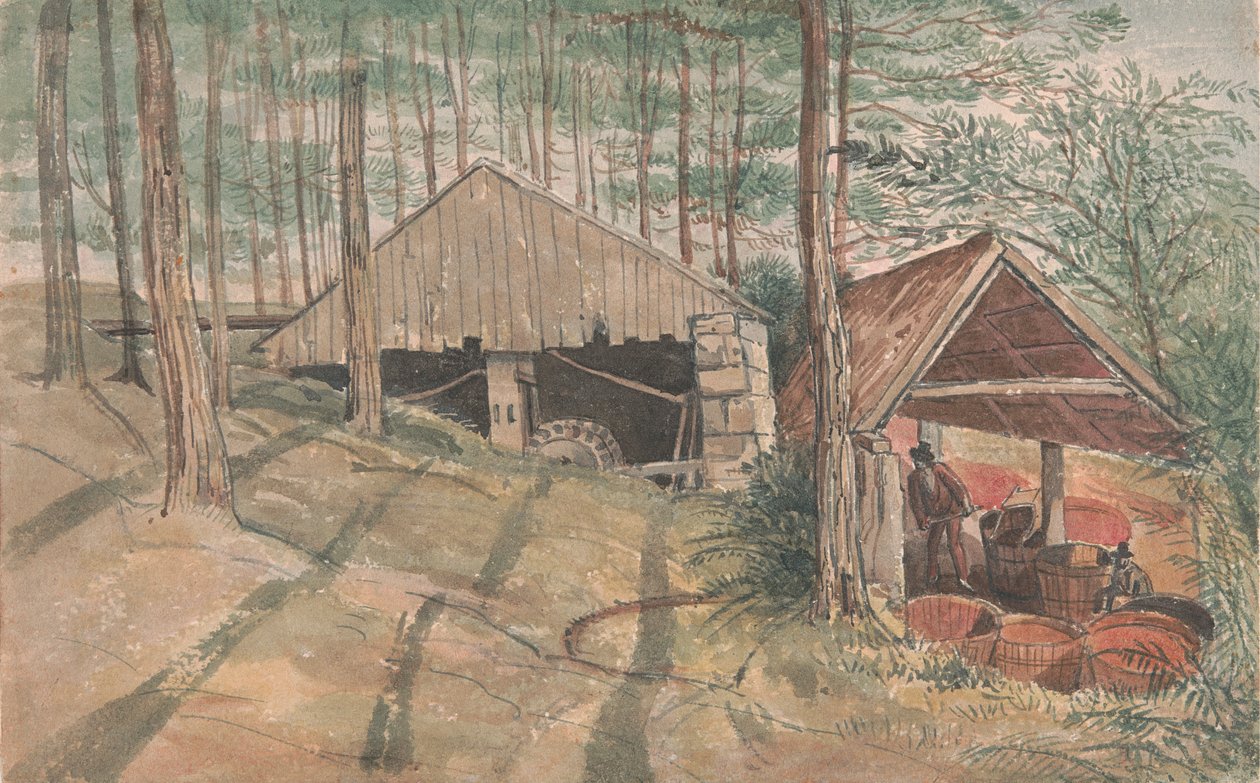 W. Praedin tinapesutehdas Cornwallissa, Trevethowssa tekijältä George Cumberland