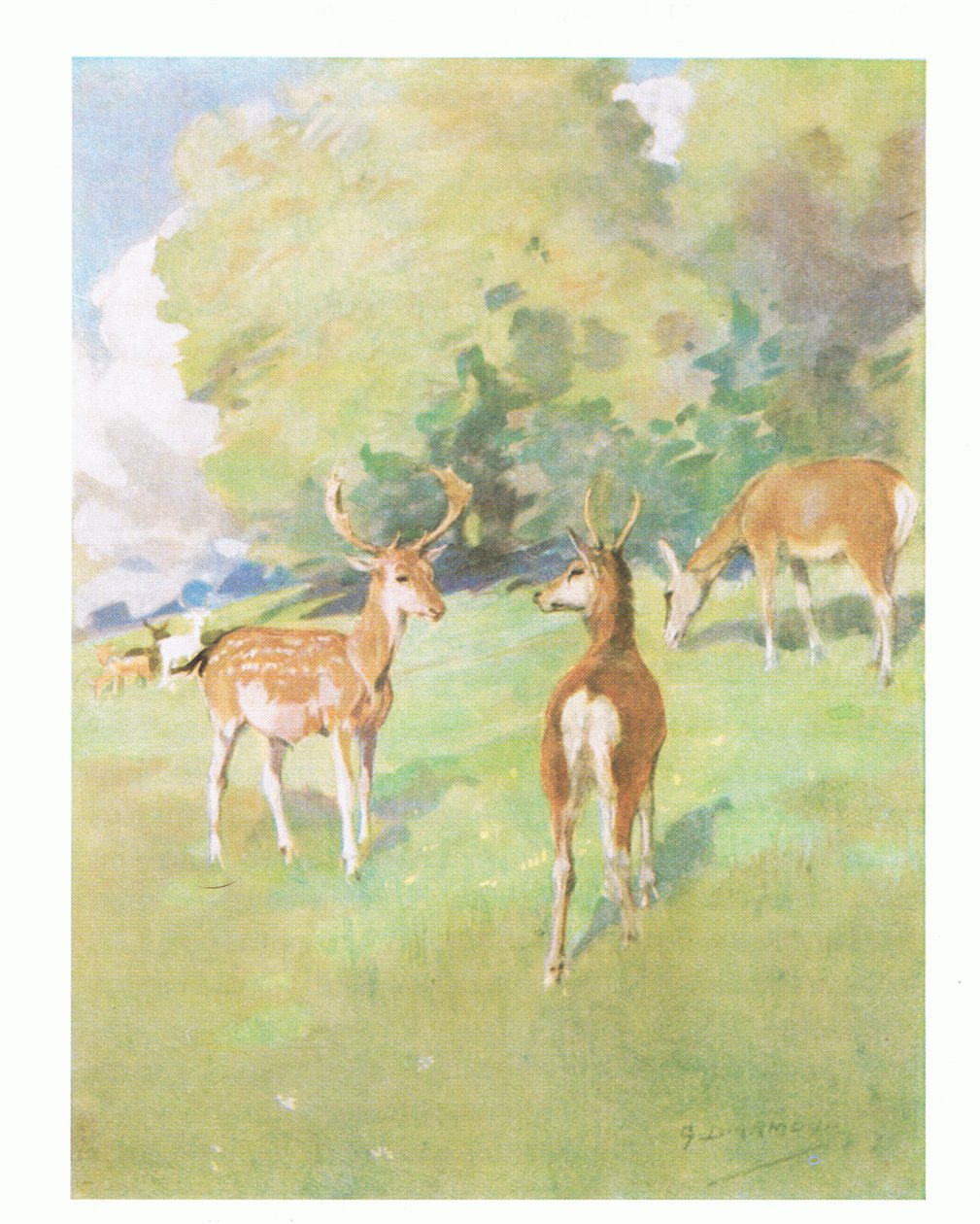 "Hyvää huomenta pieni ystävä" (väri litho) tekijältä George Denholm Armour