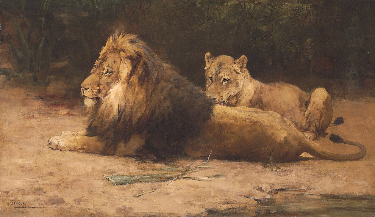 Lion and Lioness at Rest (öljy kankaalle) tekijältä George Denholm Armour