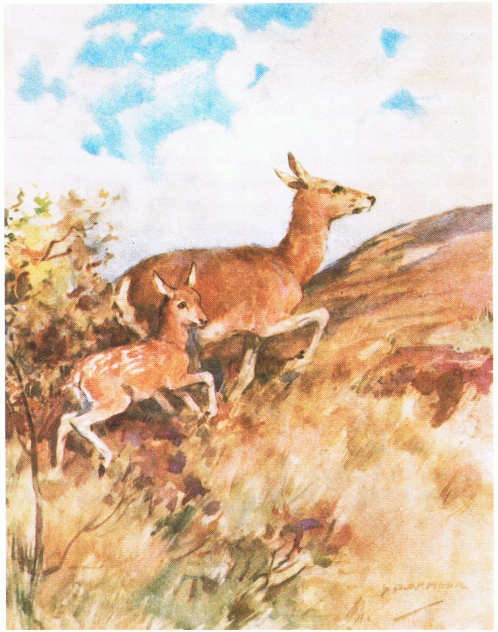 Tawny kääntyi ja pakeni kehottaen Rustya seuraamaan häntä (väri litho) tekijältä George Denholm Armour