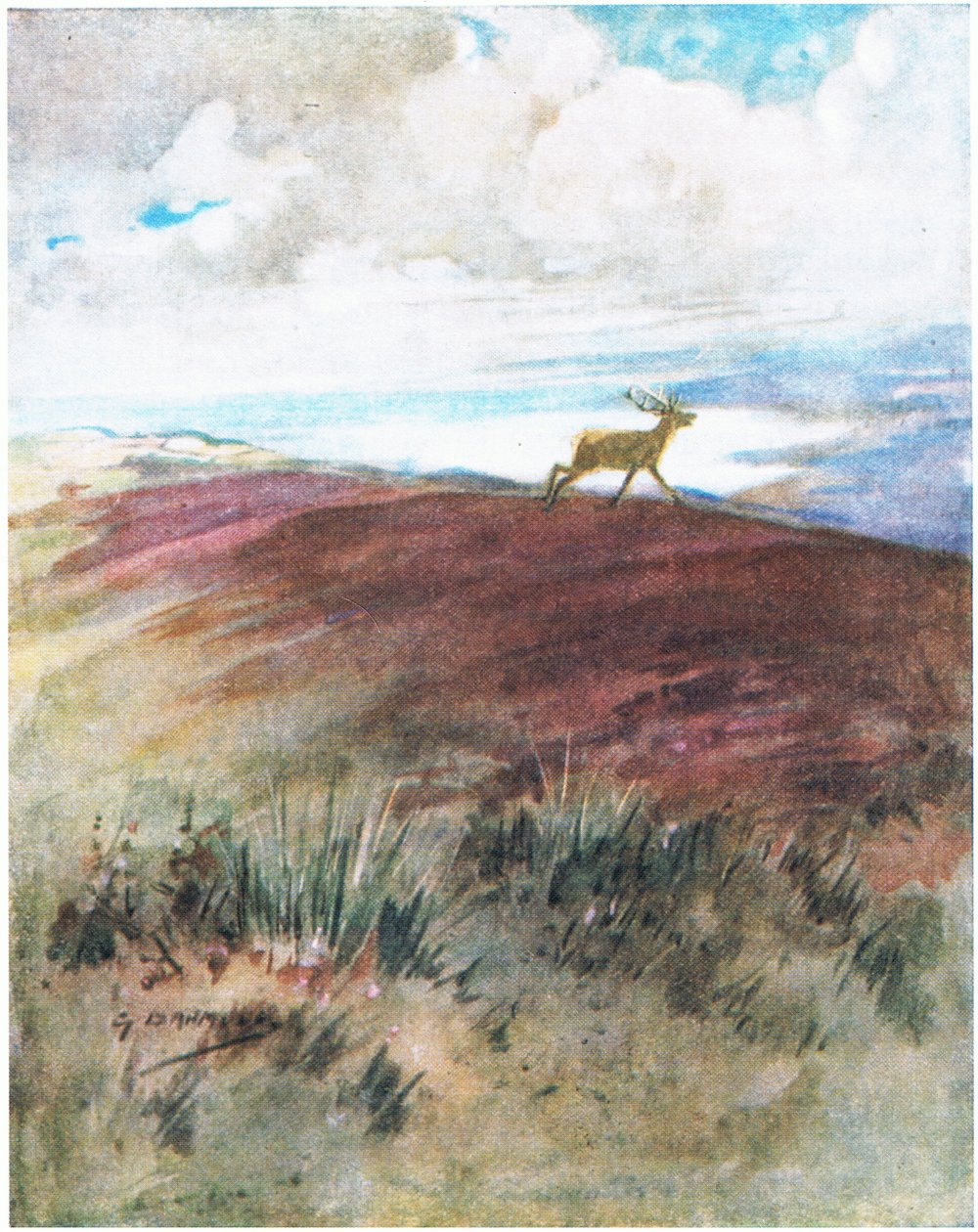Ilma oli lähellä ja raskasta, kun hän laukaisi alas harjanteelta (väri litho) tekijältä George Denholm Armour