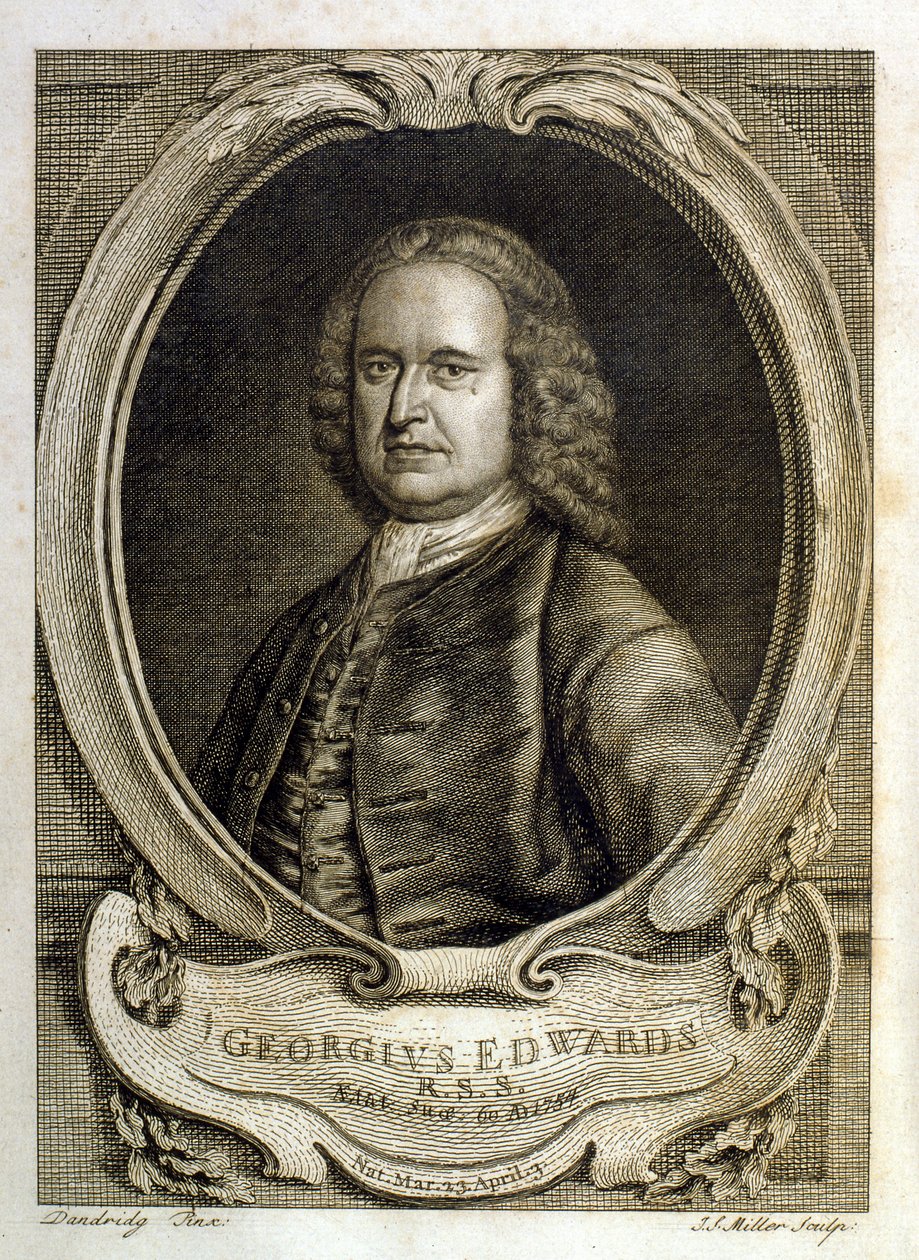  tekijältä George Edwards