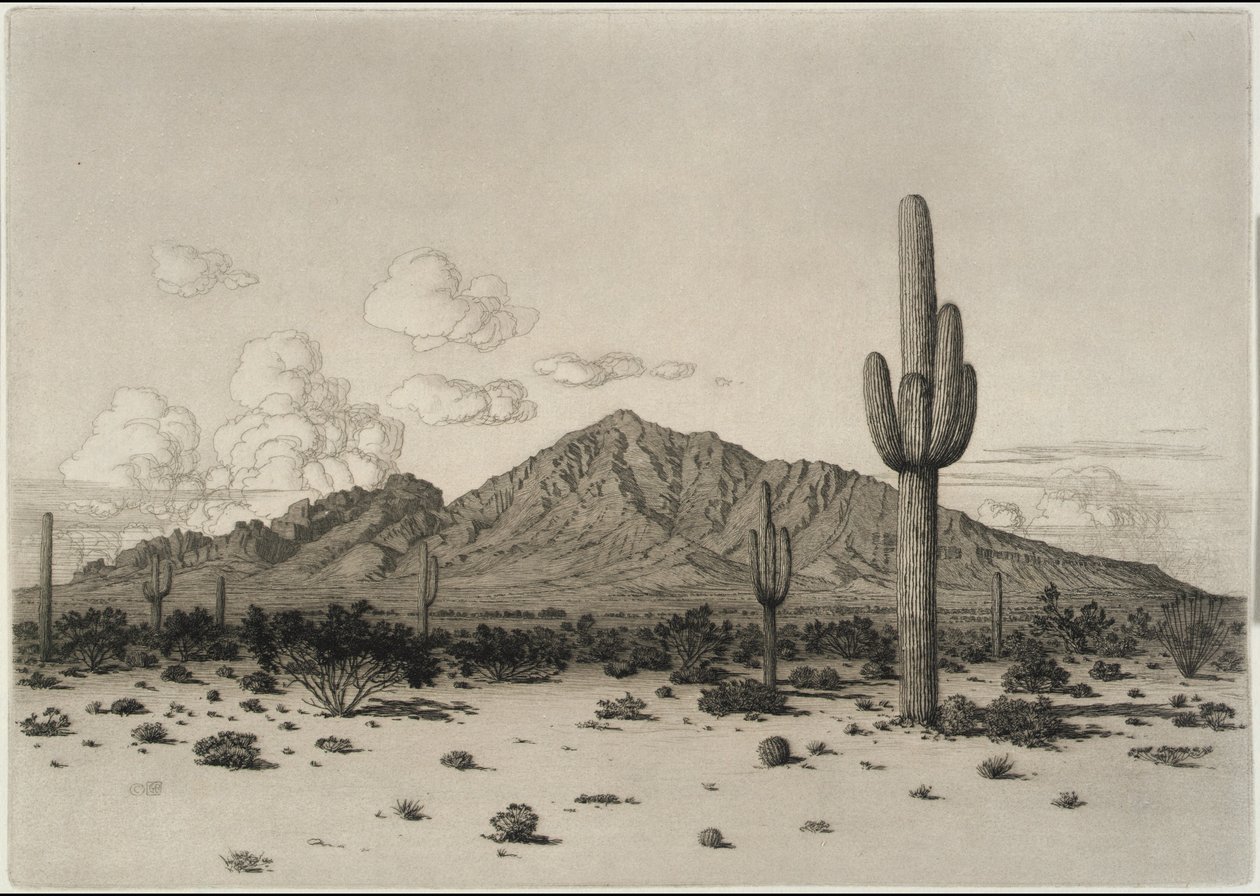 Camelback Mountain, Phoenix tekijältä George Elbert Burr