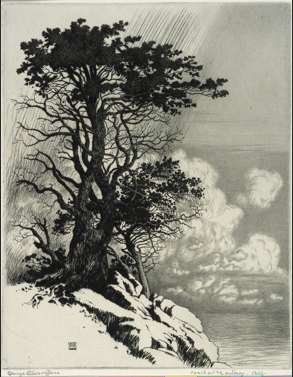 Montereyn rannikko, Kalifornia tekijältä George Elbert Burr