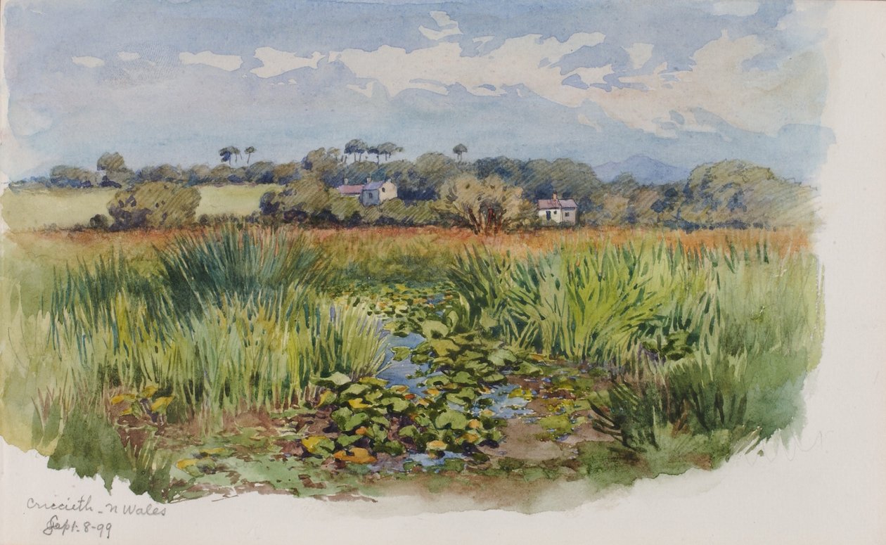 Criccieth, N Wales tekijältä George Elbert Burr