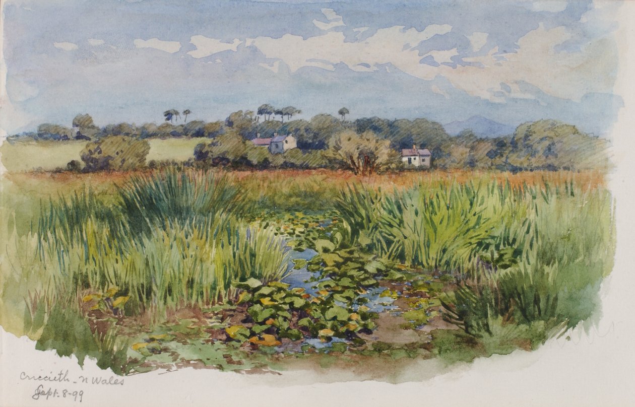 Criccieth, n Wales, 1899. tekijältä George Elbert Burr
