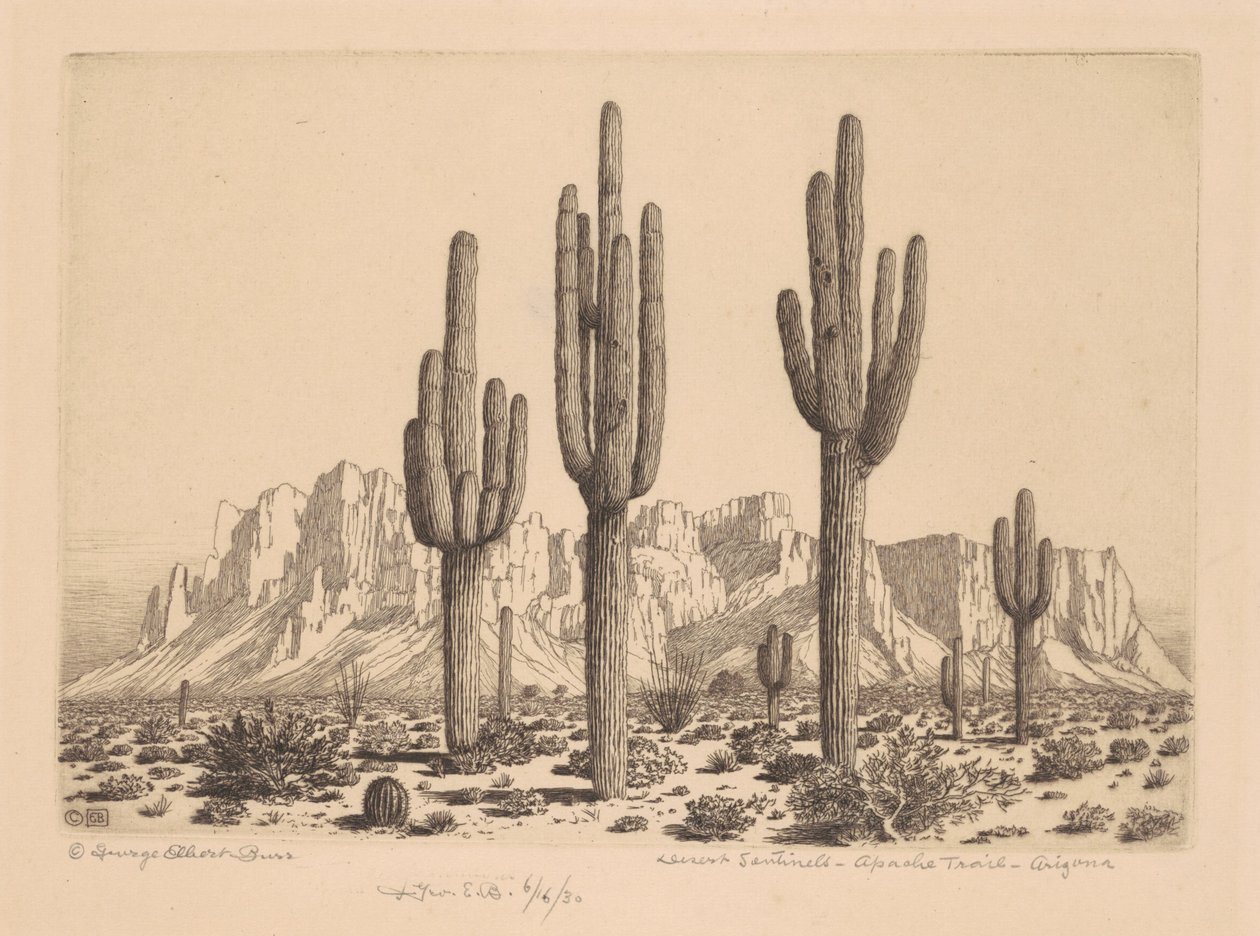 Desert Sentinels, Apache Trail, Arizona tekijältä George Elbert Burr
