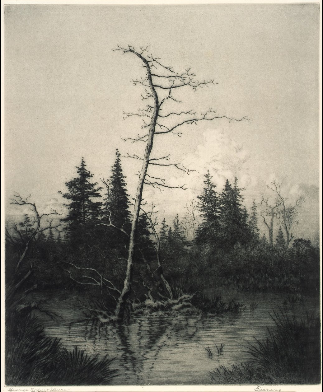 Ilta tekijältä George Elbert Burr
