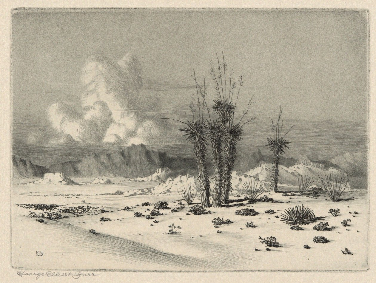 Ilta, Arizona tekijältä George Elbert Burr