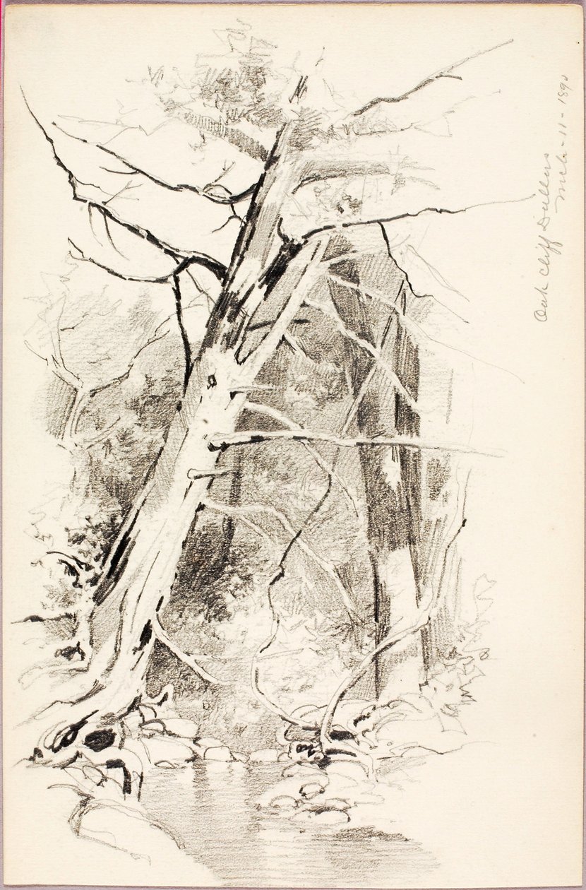 Oak Cliff, Dallas tekijältä George Elbert Burr