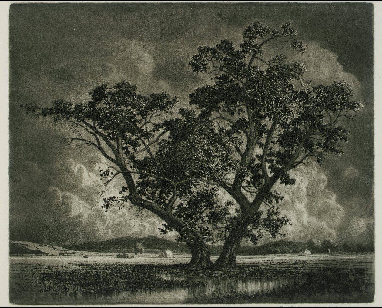 Old Cottonwoods, Colorado tekijältä George Elbert Burr