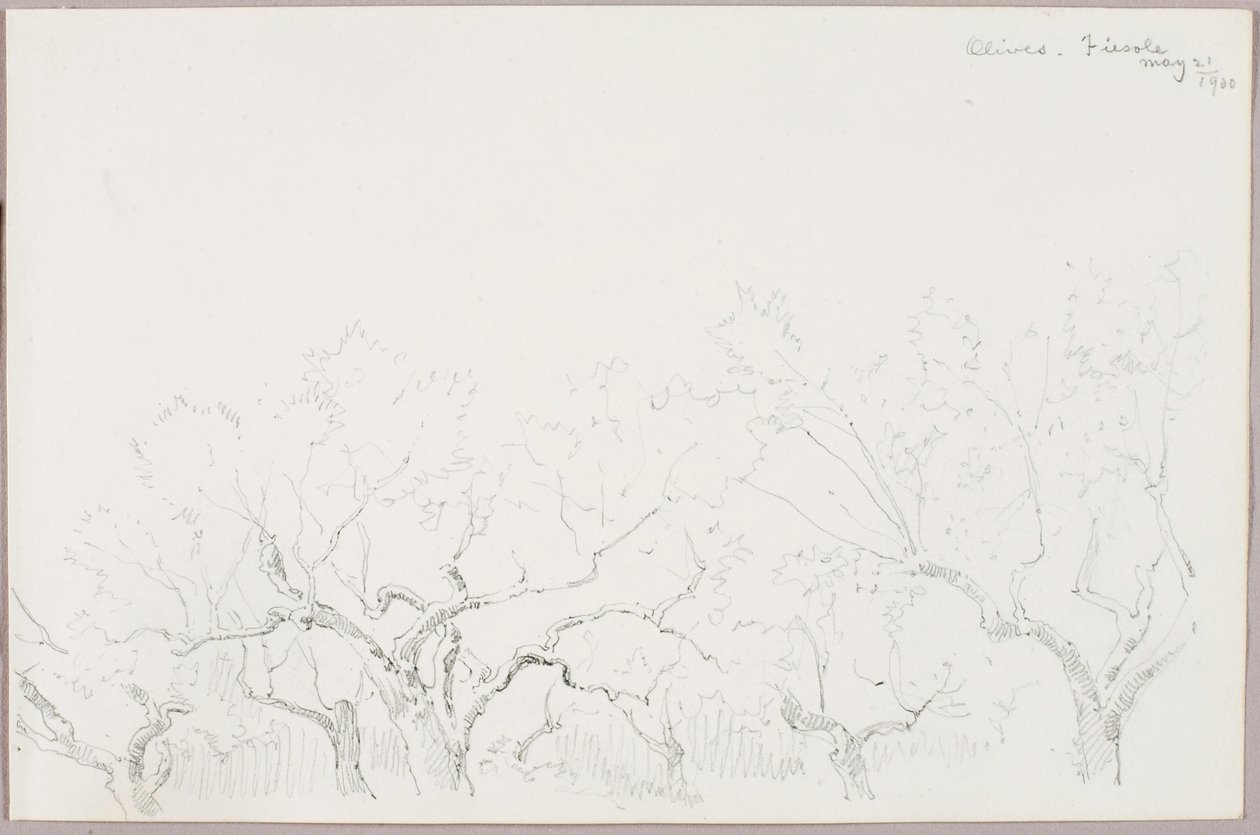 Oliivit-Fiesole tekijältä George Elbert Burr
