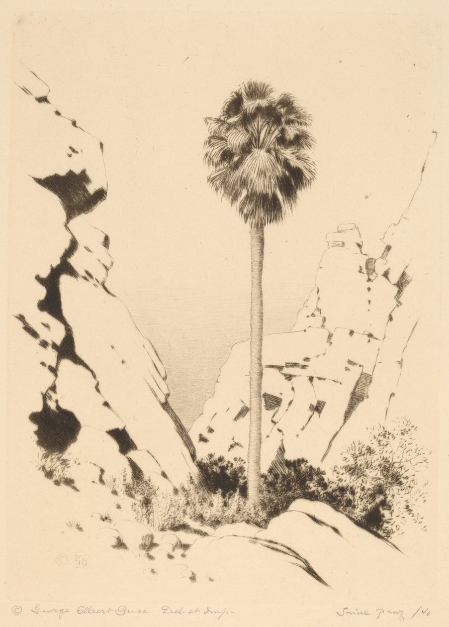 Palm Canyon (nro 1) tekijältä George Elbert Burr