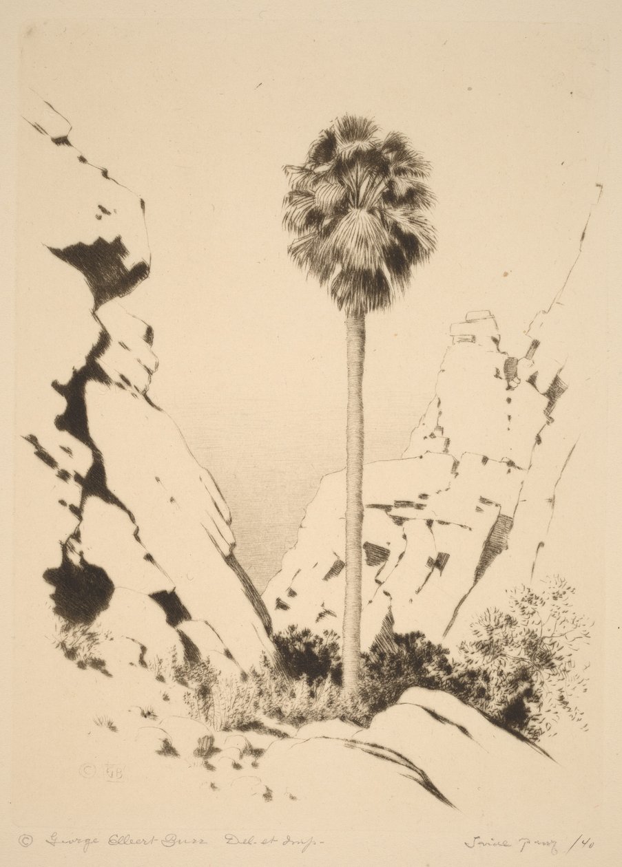 Palm Canyon (nro 1) tekijältä George Elbert Burr