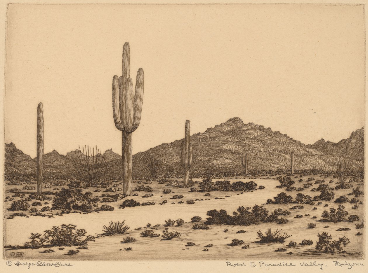 Tie Paradise Valleyyn, Arizonaan tekijältä George Elbert Burr