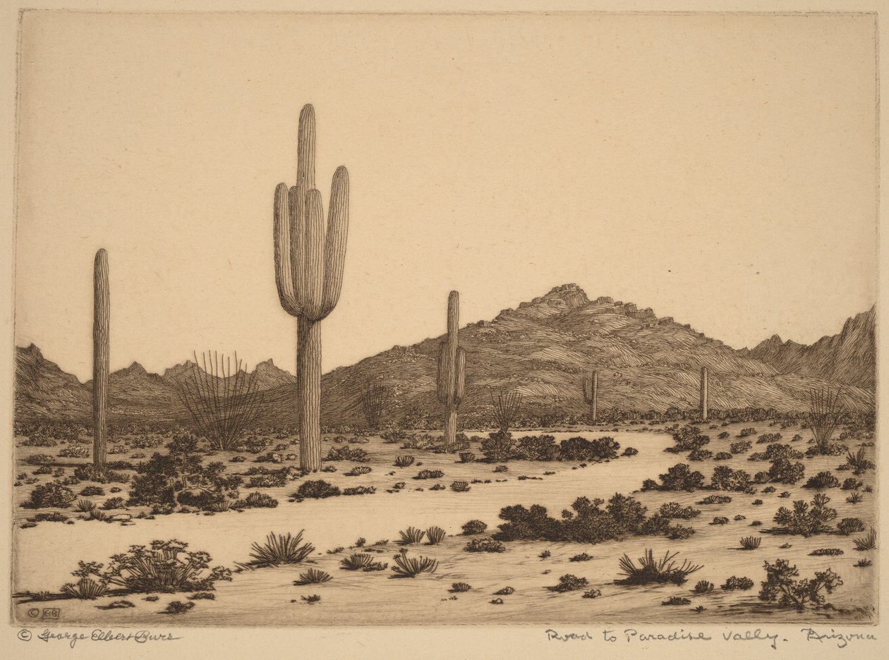 Tie Paradise Valleyyn, Arizona tekijältä George Elbert Burr