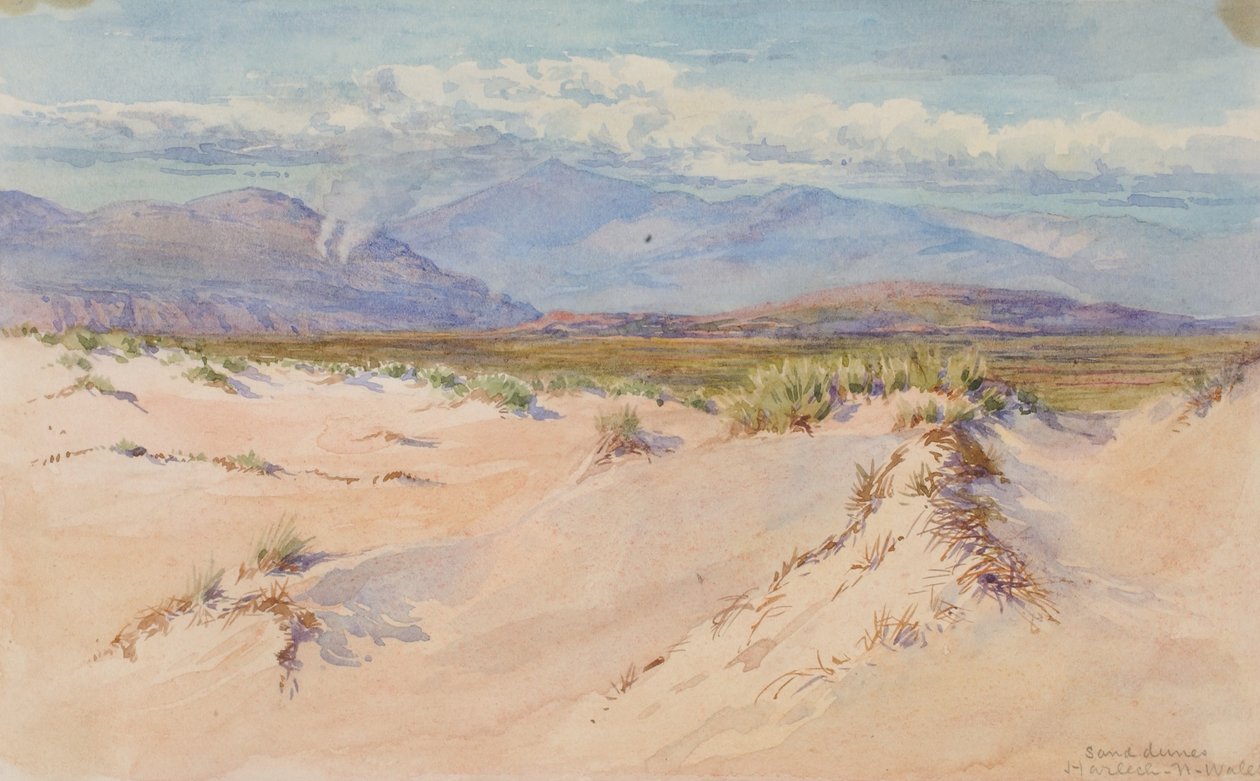 Hiekkadyynit, Harlech, Pohjois-Wales tekijältä George Elbert Burr