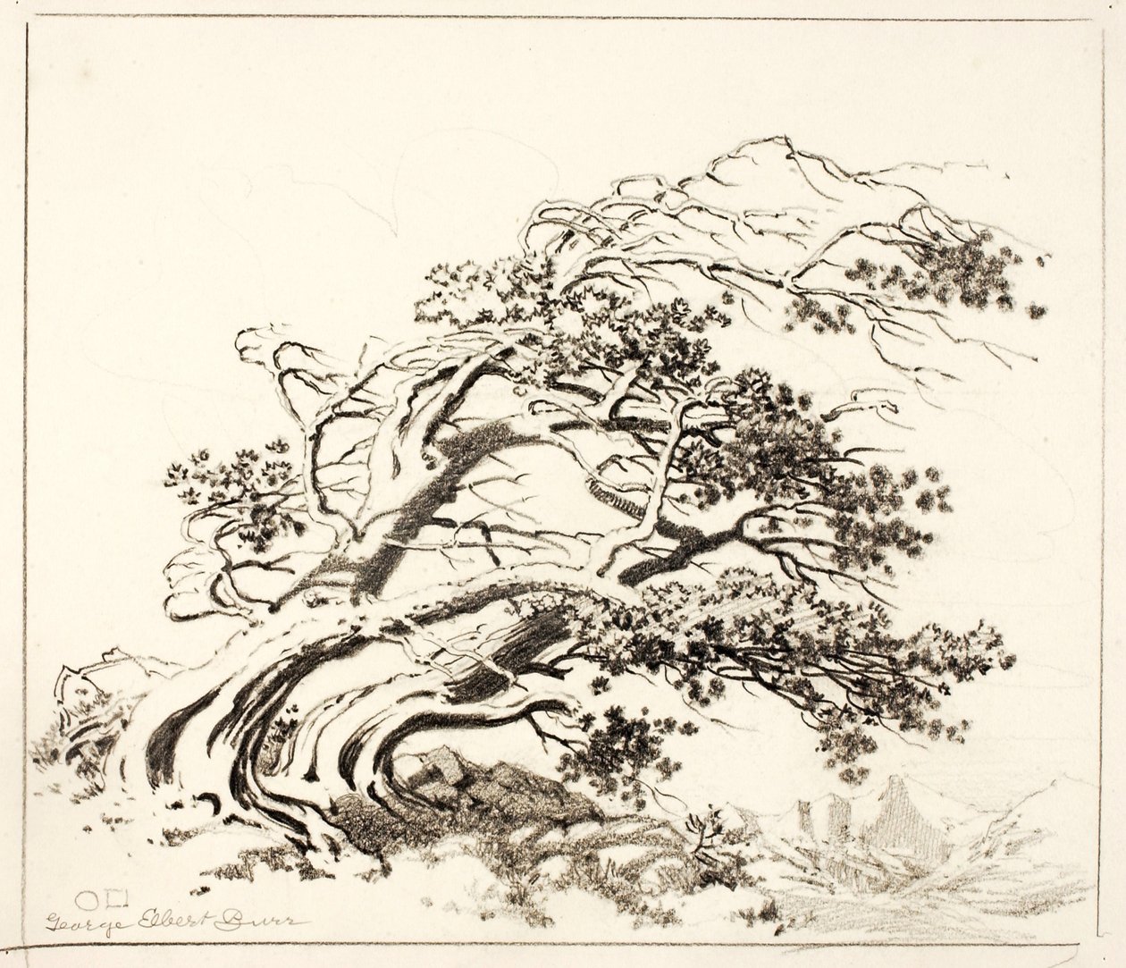 Luonnos kohteelle Pines in Wind, Estes Park tekijältä George Elbert Burr