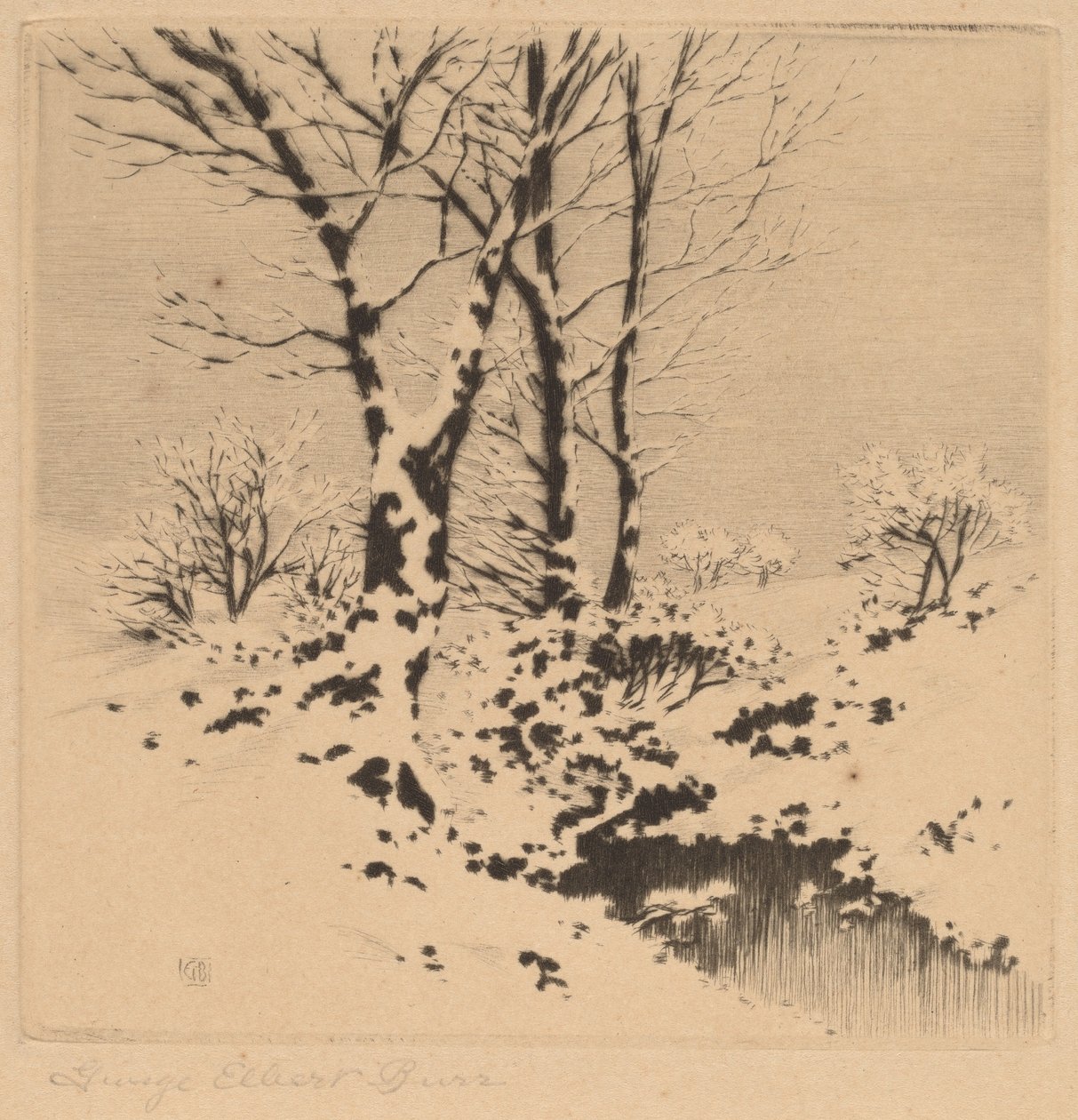 Lumi tekijältä George Elbert Burr
